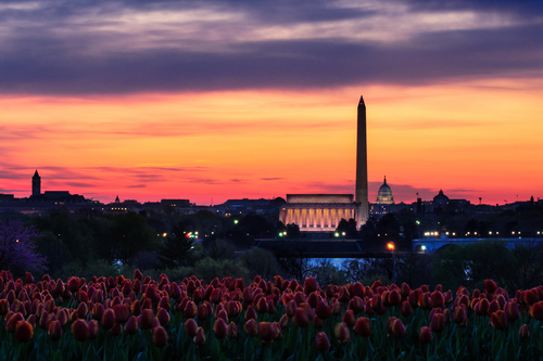 Orange sunset over Washington Monument and Lincoln Memorial viewed from Netherlands Carillion, Washington, D.C, U.S.A.
